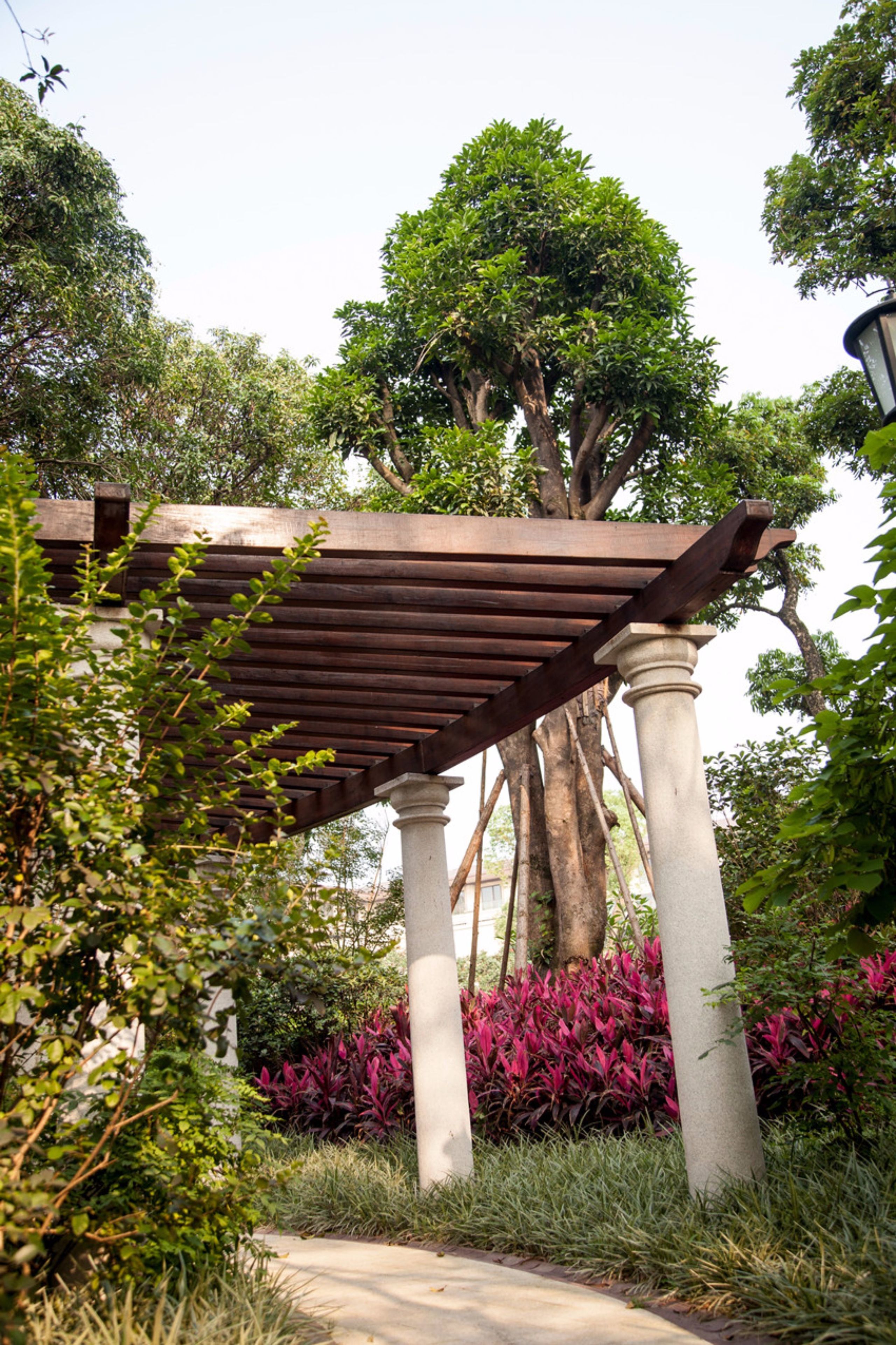 Een pergola met een pad erheen, omringd door weelderige begroeiing en bomen.