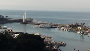 Une ville côtière qui se distingue par son pont remarquable, son port de plaisance et ses immeubles résidentiels.