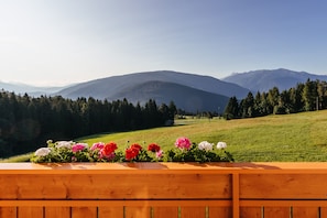 Apartment, 2 Bedrooms (D6) | Mountain view