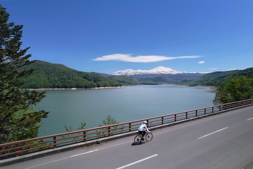 自転車