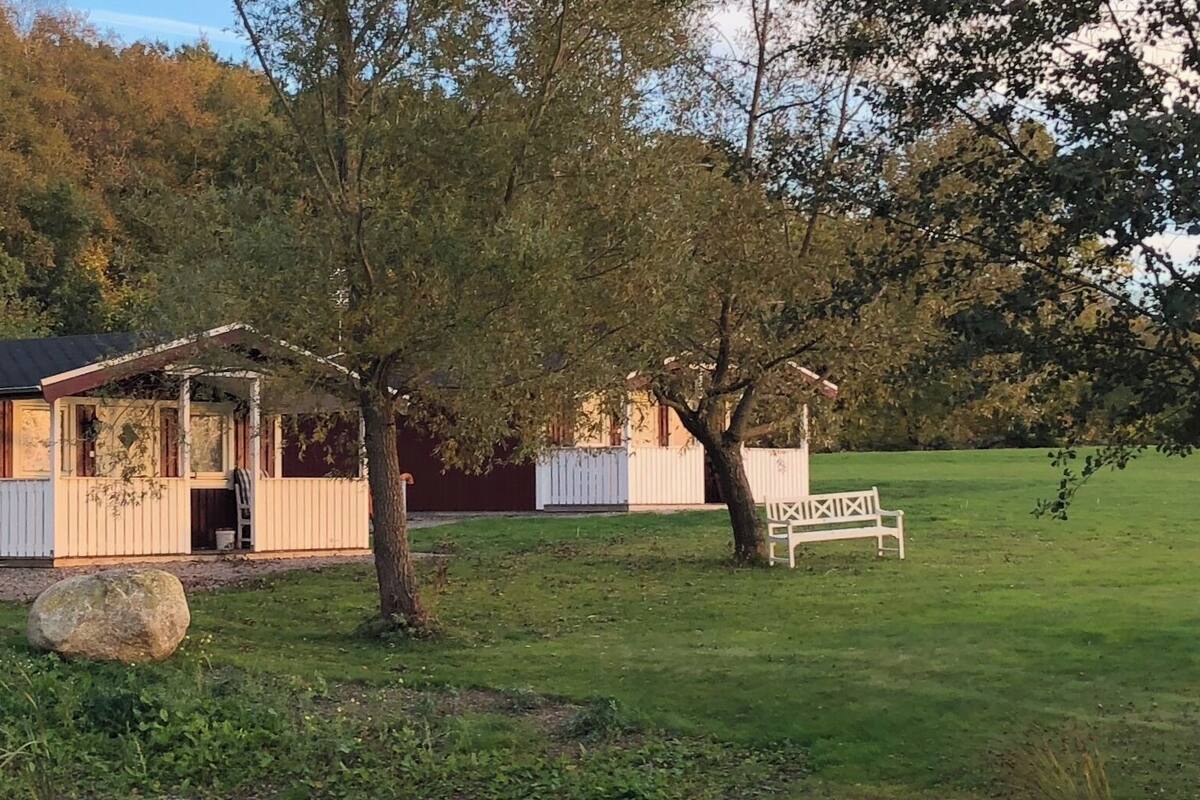 A rustic cabin with a porch and a bench in a grassy area with trees.