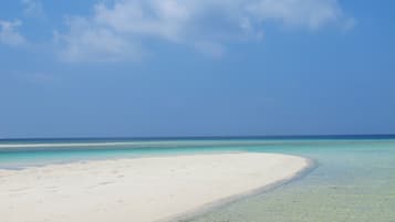 Trên bãi biển, lặn có bình dưỡng khí