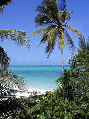 A beach with palm trees and clear blue water. - Bazi's House (Bwejuu)