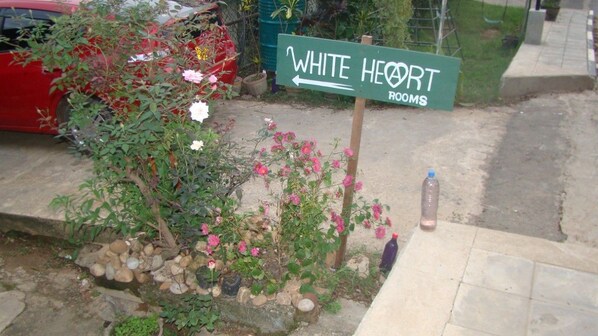 Détail de l’extérieur