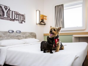 Standard Apartment, 1 Double Bed | Desk, soundproofing, free WiFi, bed sheets