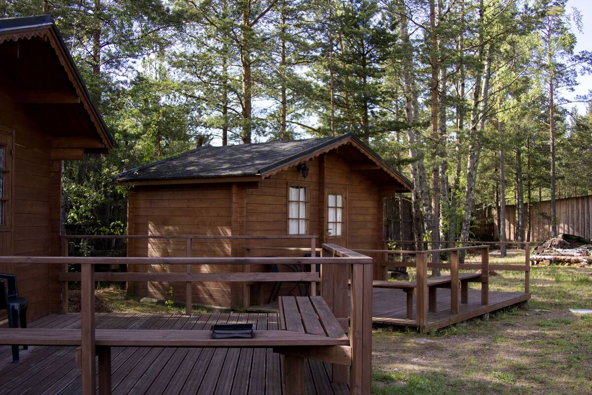 Una cabaña de madera con terraza y un pequeño porche, rodeada de árboles altos.