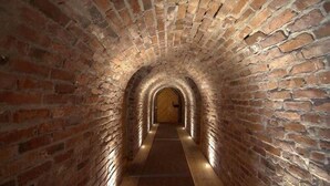 Un tunnel en briques avec une porte en bois au bout.