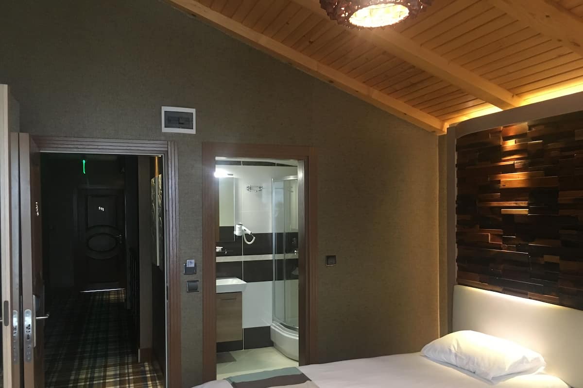 Quarto de hotel com cama, mesa de cabeceira com telefone, espelho, área de chuveiro e teto de madeira.