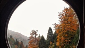 A round window with a view of a forested area, including trees with autumn foliage and a distant hill. - Ayderoom Otel (Camlihemsin)