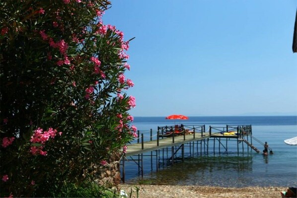 Vistas desde el alojamiento