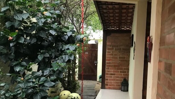 Un sendero estrecho que conduce a la entrada de un edificio, bordeado por follaje denso y un muro de ladrillo.