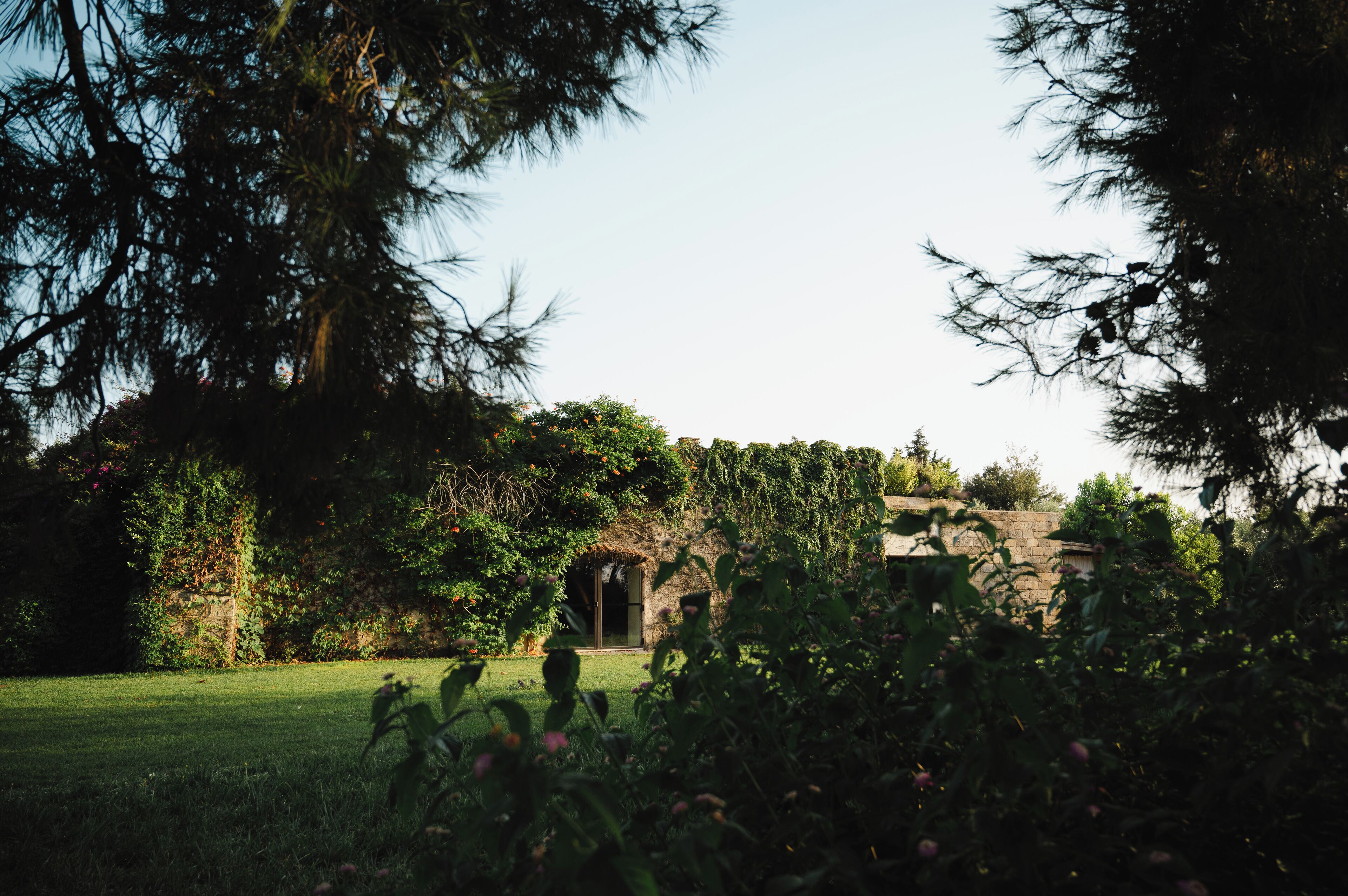 Un bâtiment rustique en pierre, doté d’un toit de chaume, entouré d’une végétation luxuriante et d’arbres.