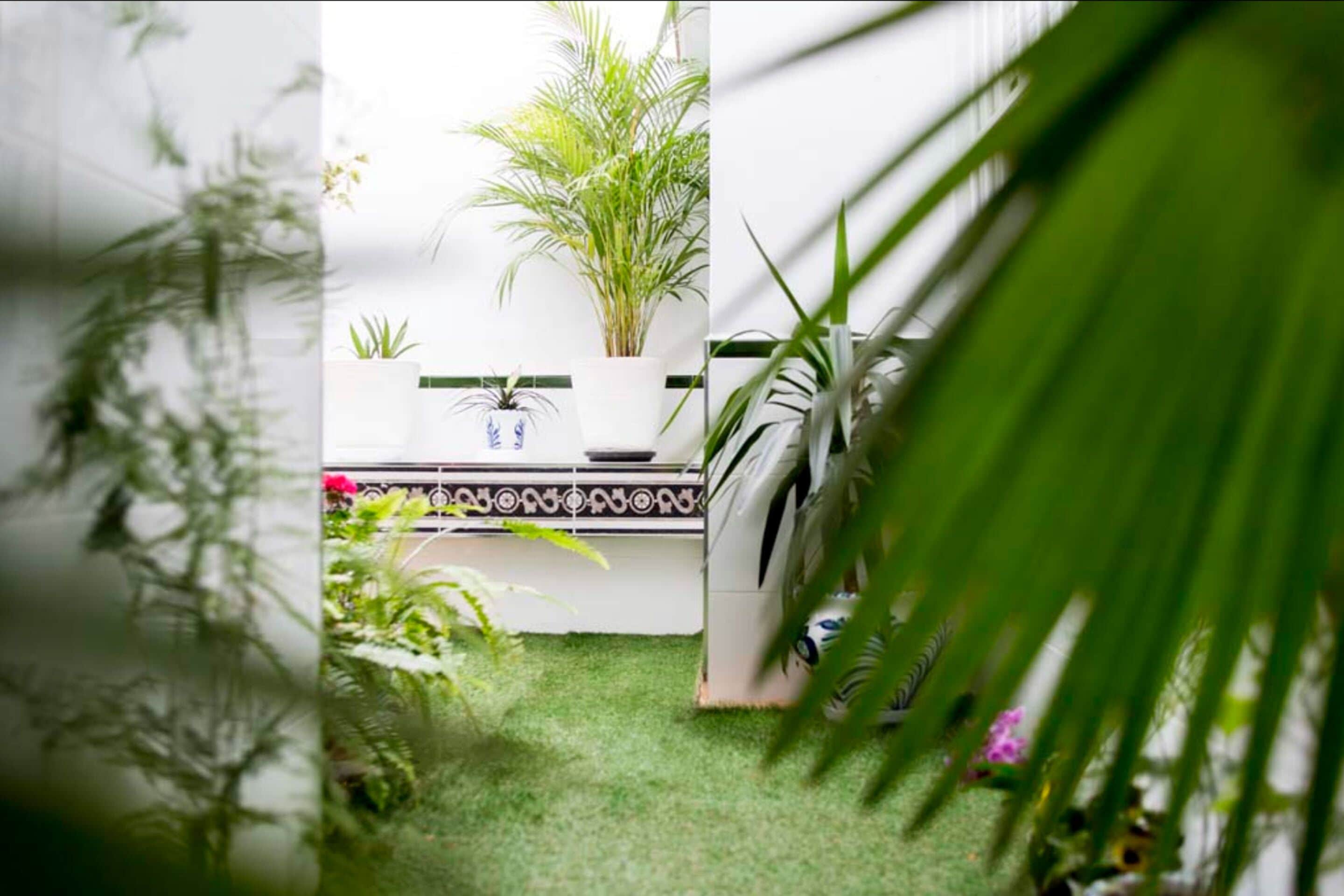 Habitación doble, vistas al patio | Vistas desde la habitación