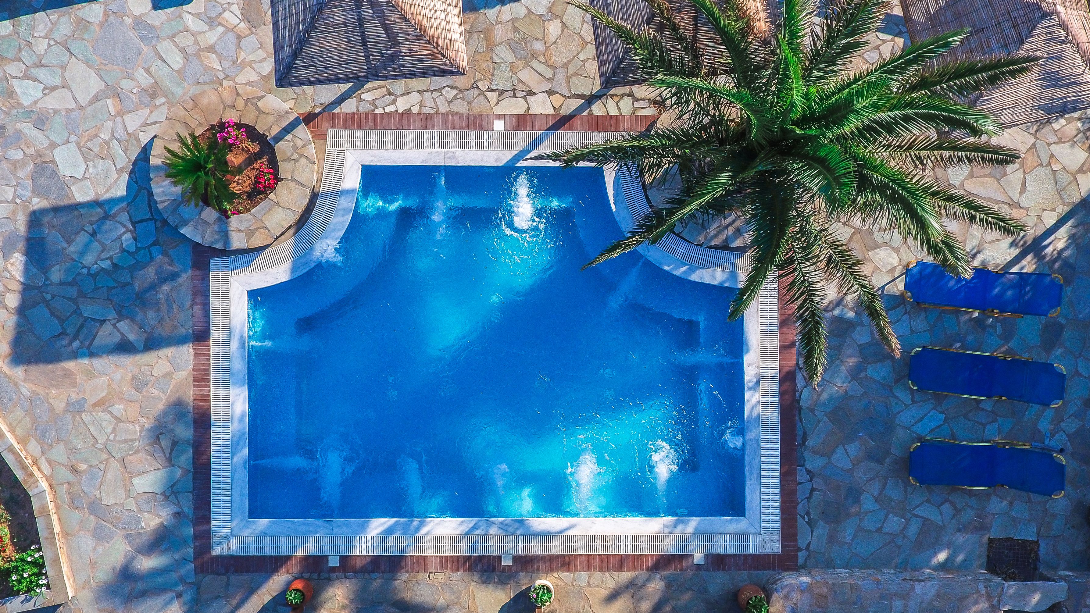 An aerial view of a rectangular swimming pool surrounded by stone tiles and a palm tree.