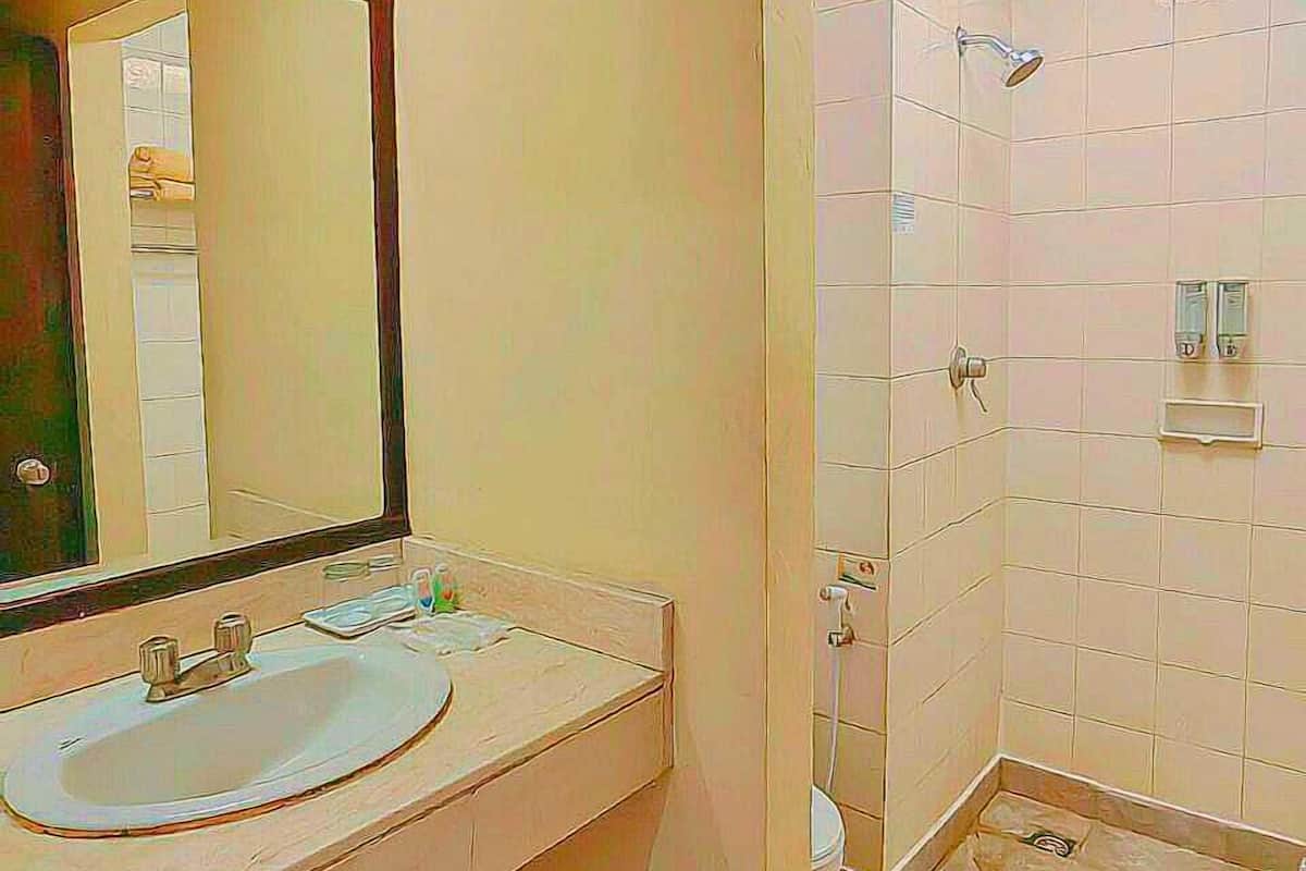 Regadera, amenidades de baño gratuitas, secadora de cabello, pantuflas