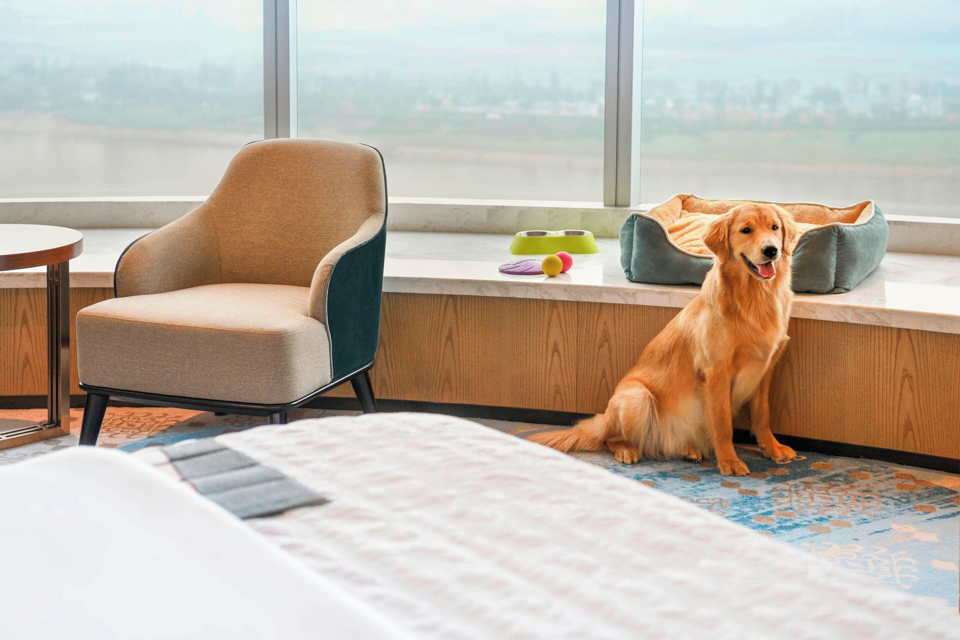 1 bedroom, premium bedding, in-room safe, desk