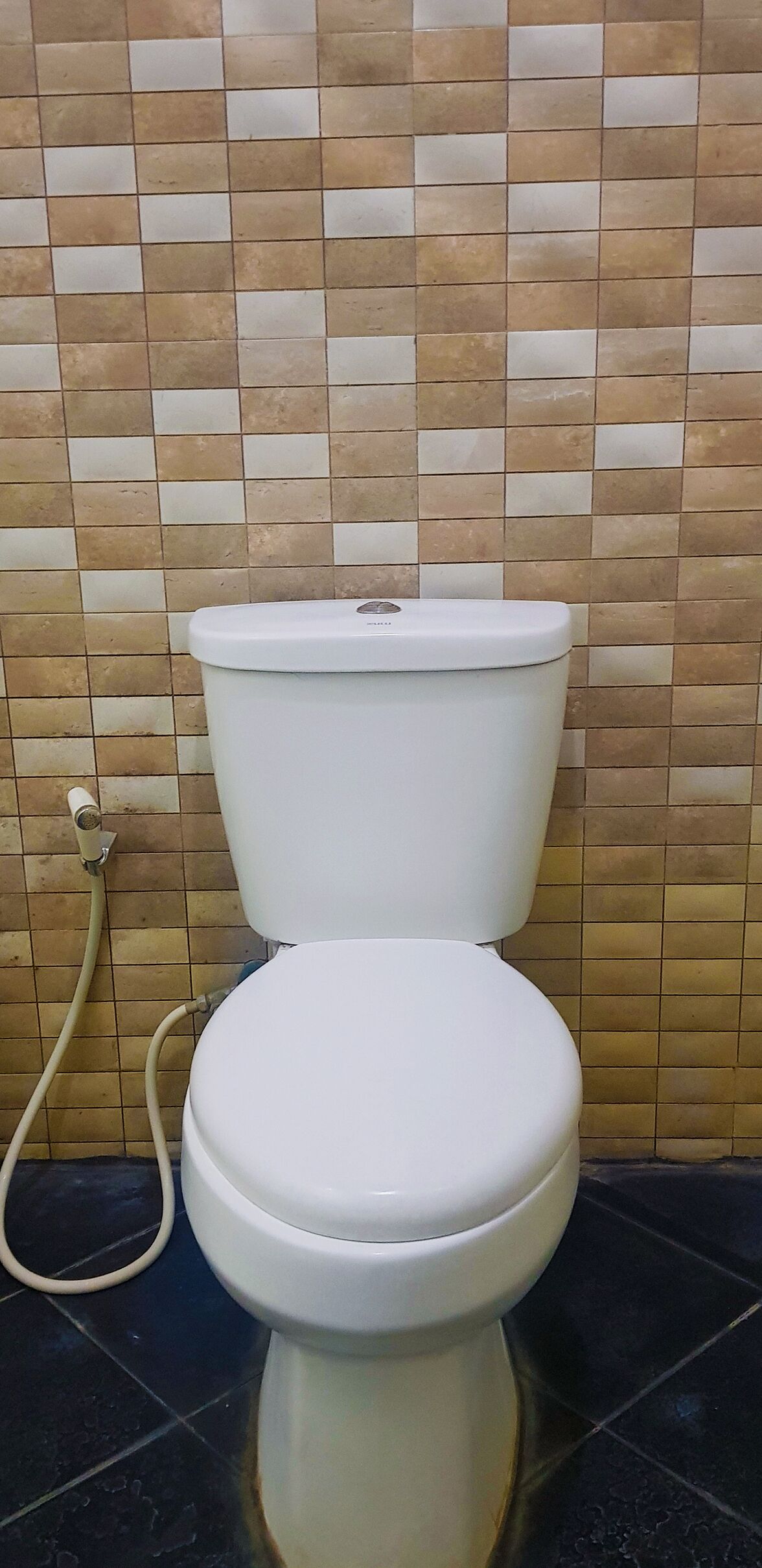 A toilet with a white seat and lid, set against a tiled wall with a mix of beige and brown tiles.
