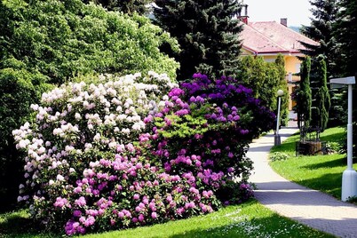 Spa Resort Libverda - Villa Friedland