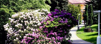 Spa Resort Libverda - Villa Friedland