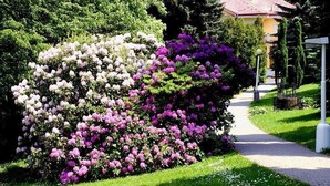 Un jardin avec un sentier menant à un bâtiment doté d’un toit rouge.