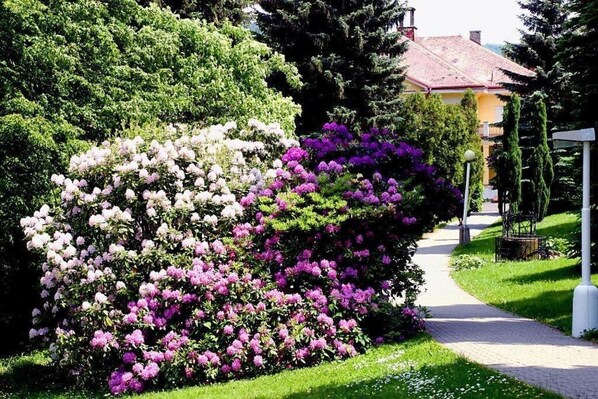 Un jardin avec un sentier menant à un bâtiment doté d’un toit rouge.