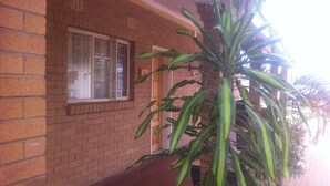 Un edificio de ladrillo con una ventana y una planta grande en el frente.