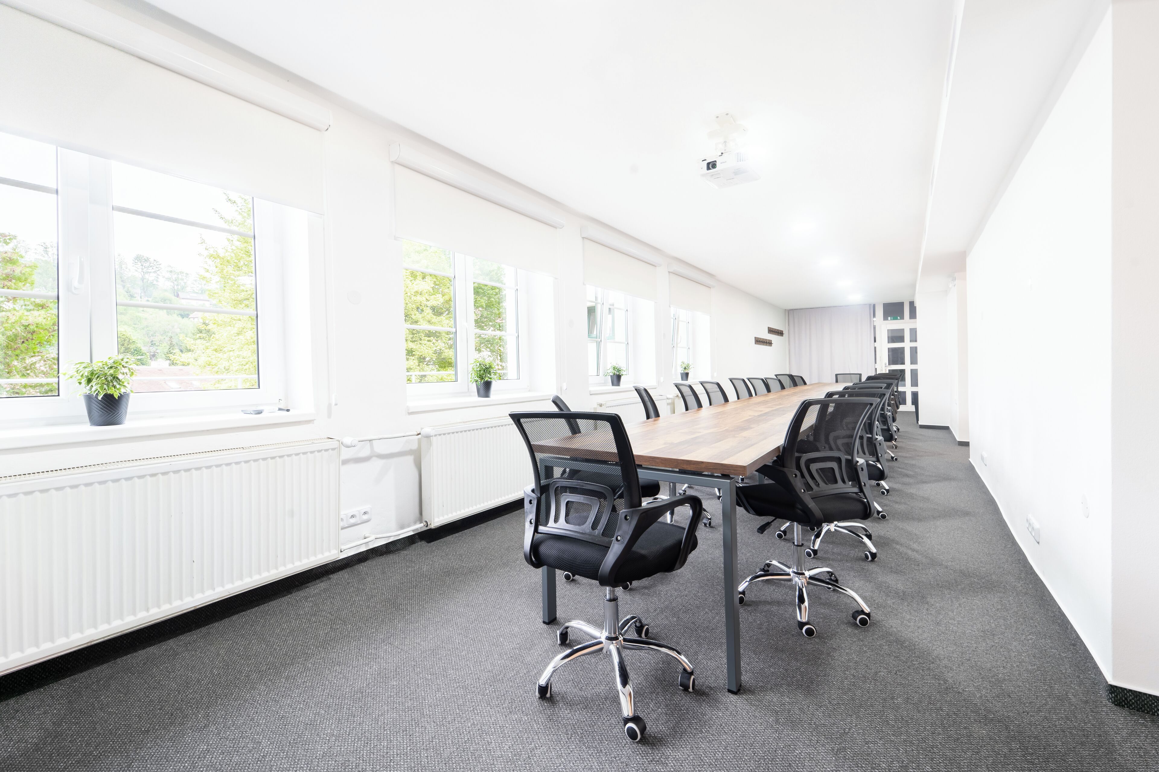A conference room with a long table, black chairs, and large windows with plants.