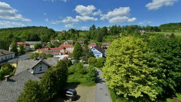 A village with traditional houses, a cobblestone street, and lush greenery.