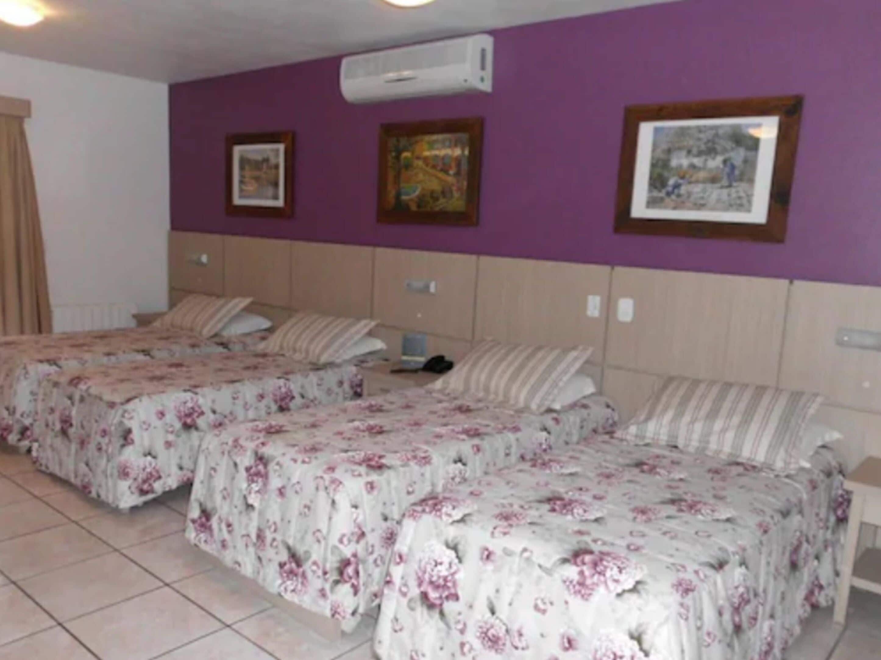 Foto - Pousada Belluno