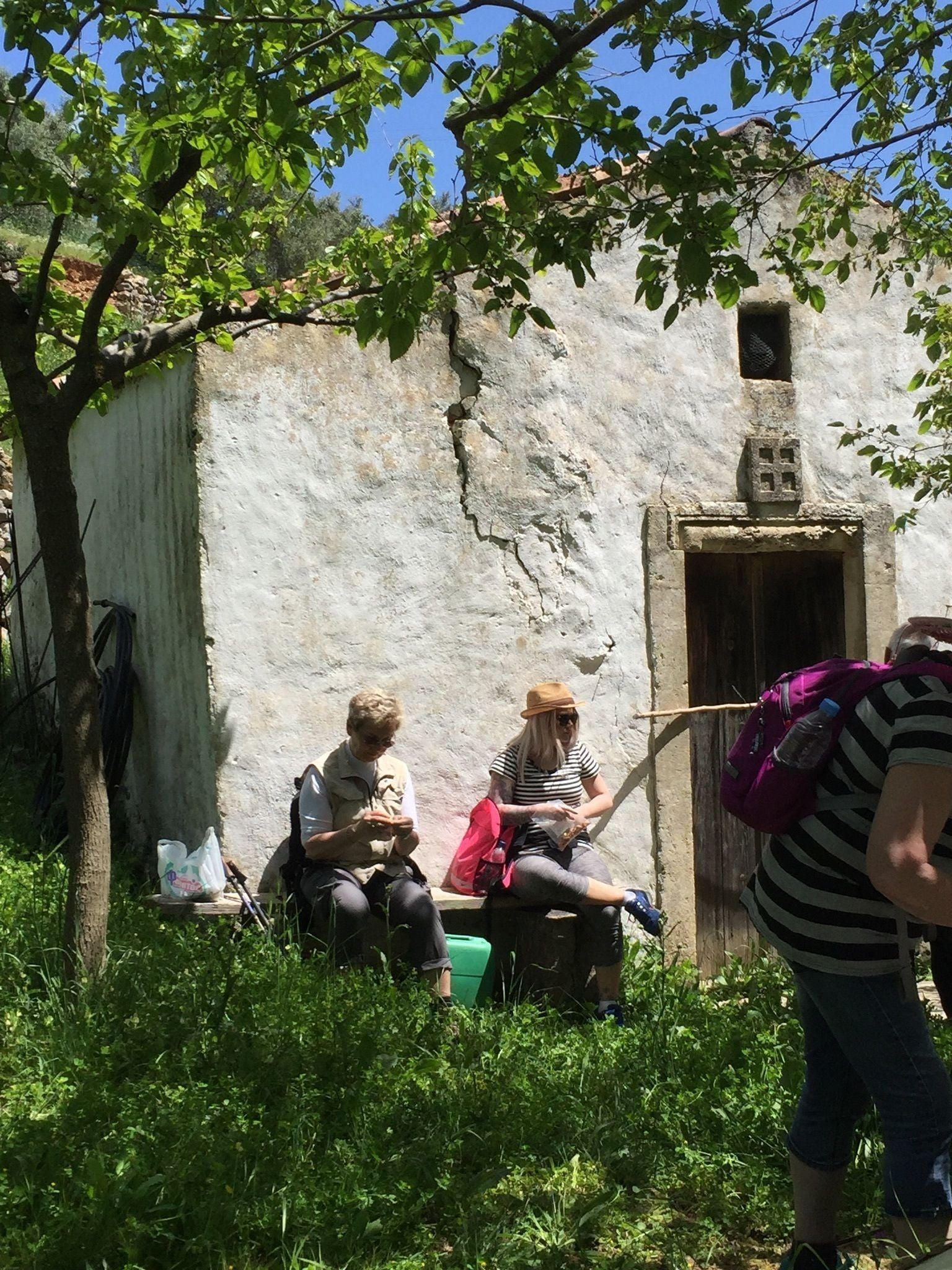 A rustic outdoor setting with a stone wall, a wooden door, and a tree providing shade.