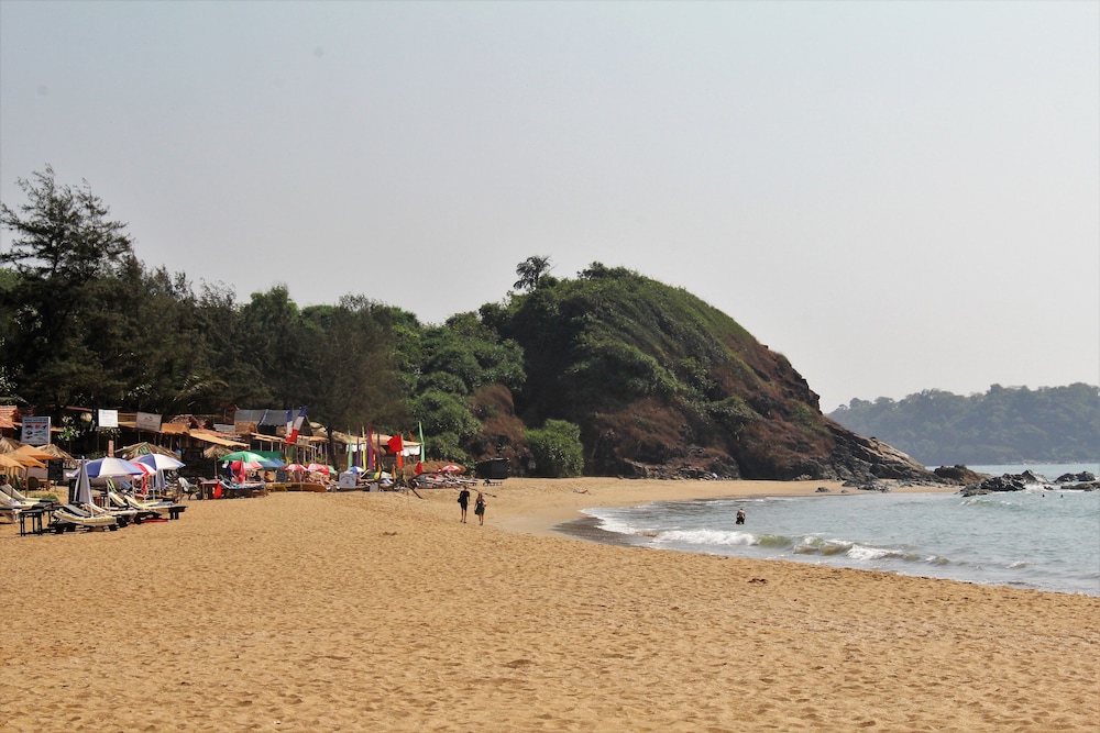 The Palm Trees by null