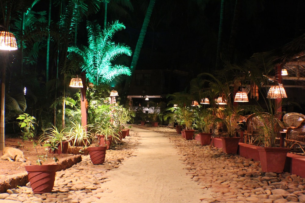 The Palm Trees by null