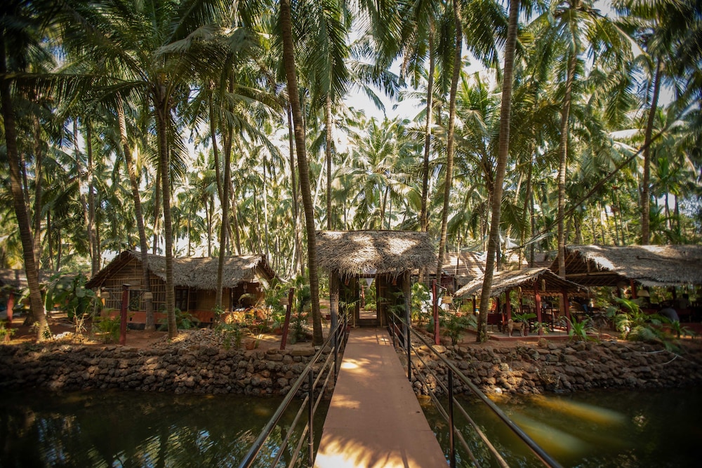 The Palm Trees by null