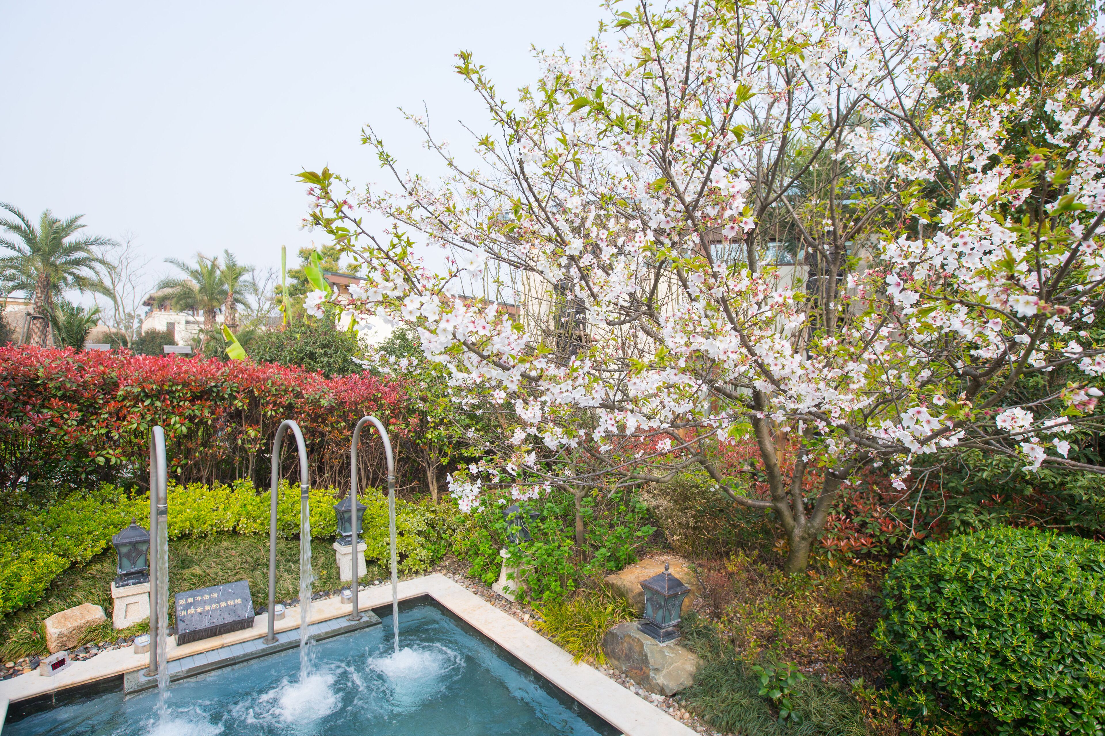 Una piscina con fuente de agua, rodeada de exuberante follaje y árboles en flor.