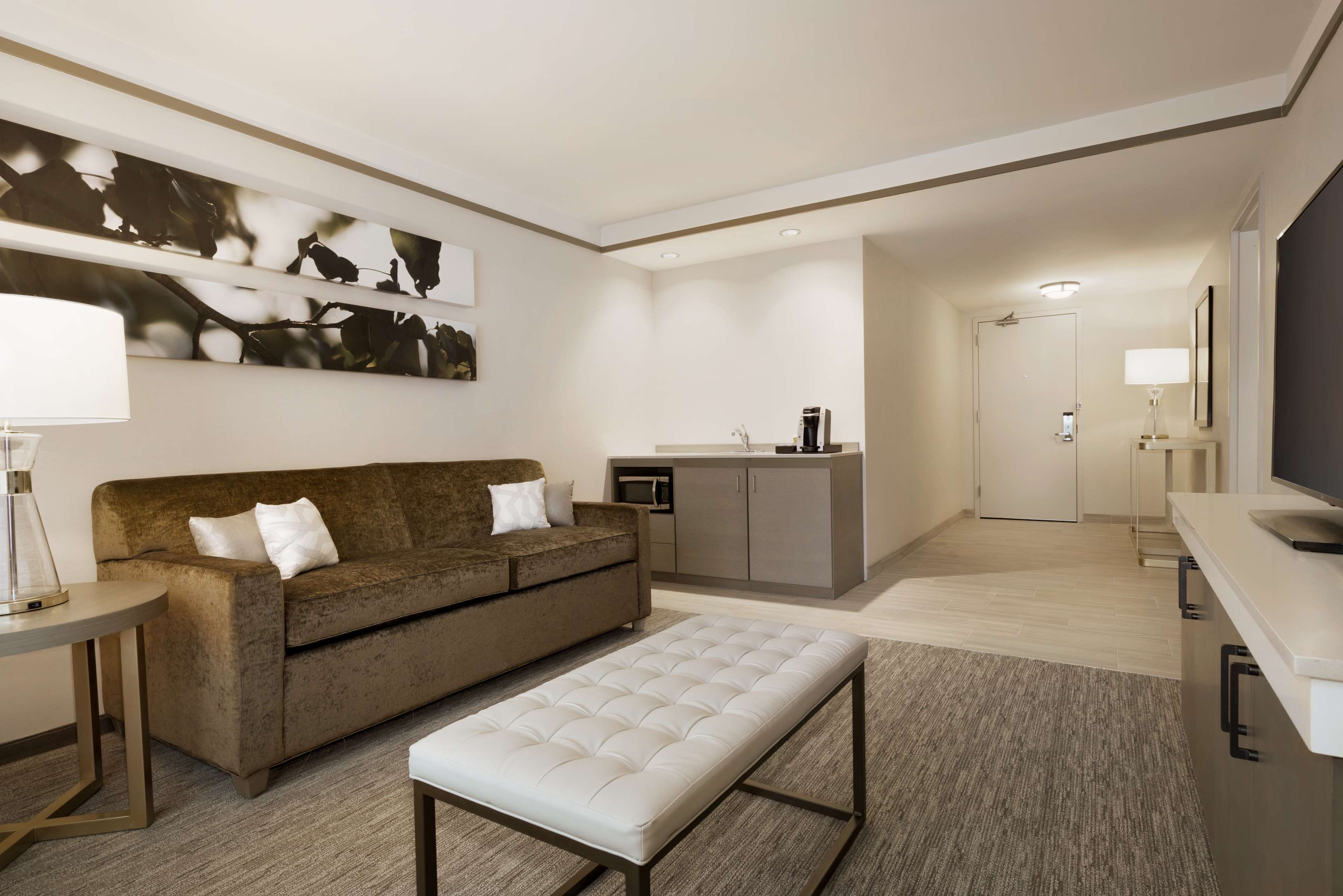 49-inch flat-screen tv with premium tv channels, tv, mp3 dock