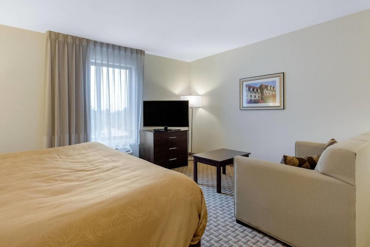 A hotel room with a bed, a sofa, a TV, a desk, and a lamp.