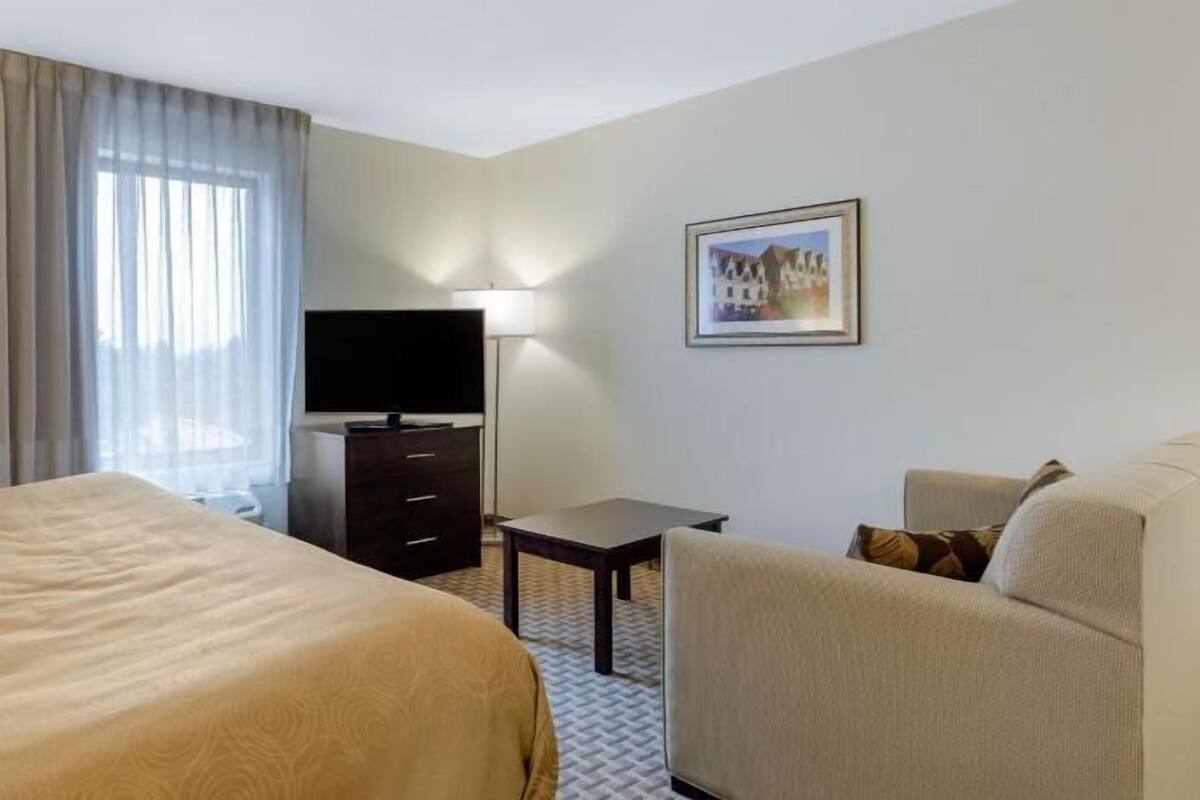Ein Hotelzimmer mit Bett, Schreibtisch, Stuhl, Fernseher und einem gerahmten Bild an der Wand.