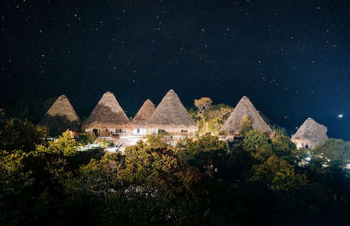 Ceiba by Masaya Collection