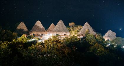 Ceiba by Masaya Collection