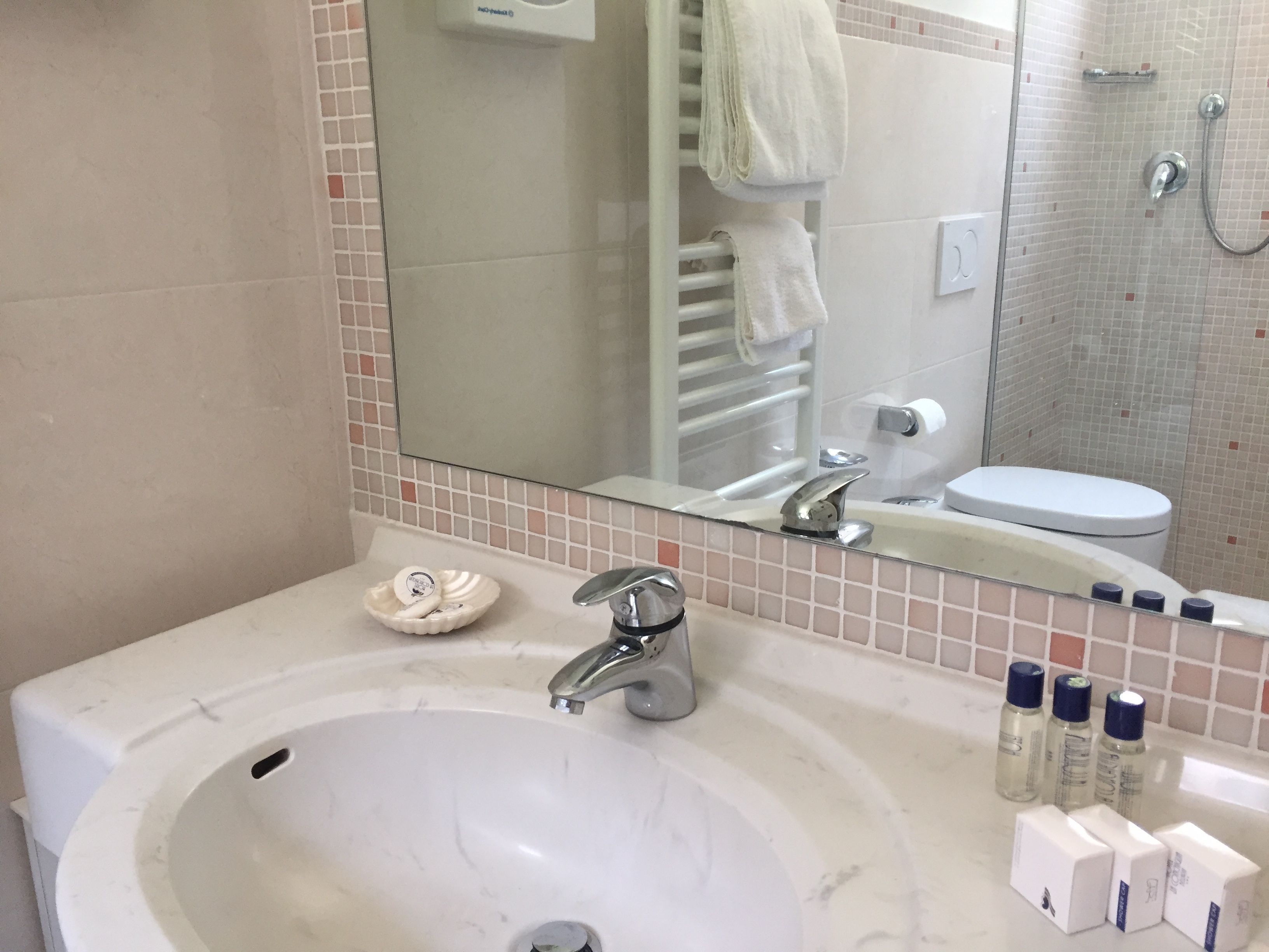 shower, free toiletries, hair dryer, bidet