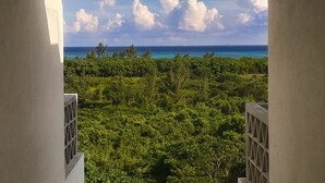 A view from a balcony with a clear sky, lush greenery, and a distant coastline. - Suites Cielo y Mar (Playa del Carmen)