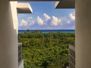 View from property - Suites Cielo y Mar (Playa del Carmen)