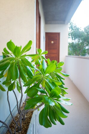 Interior - Suites Cielo y Mar (Playa del Carmen)