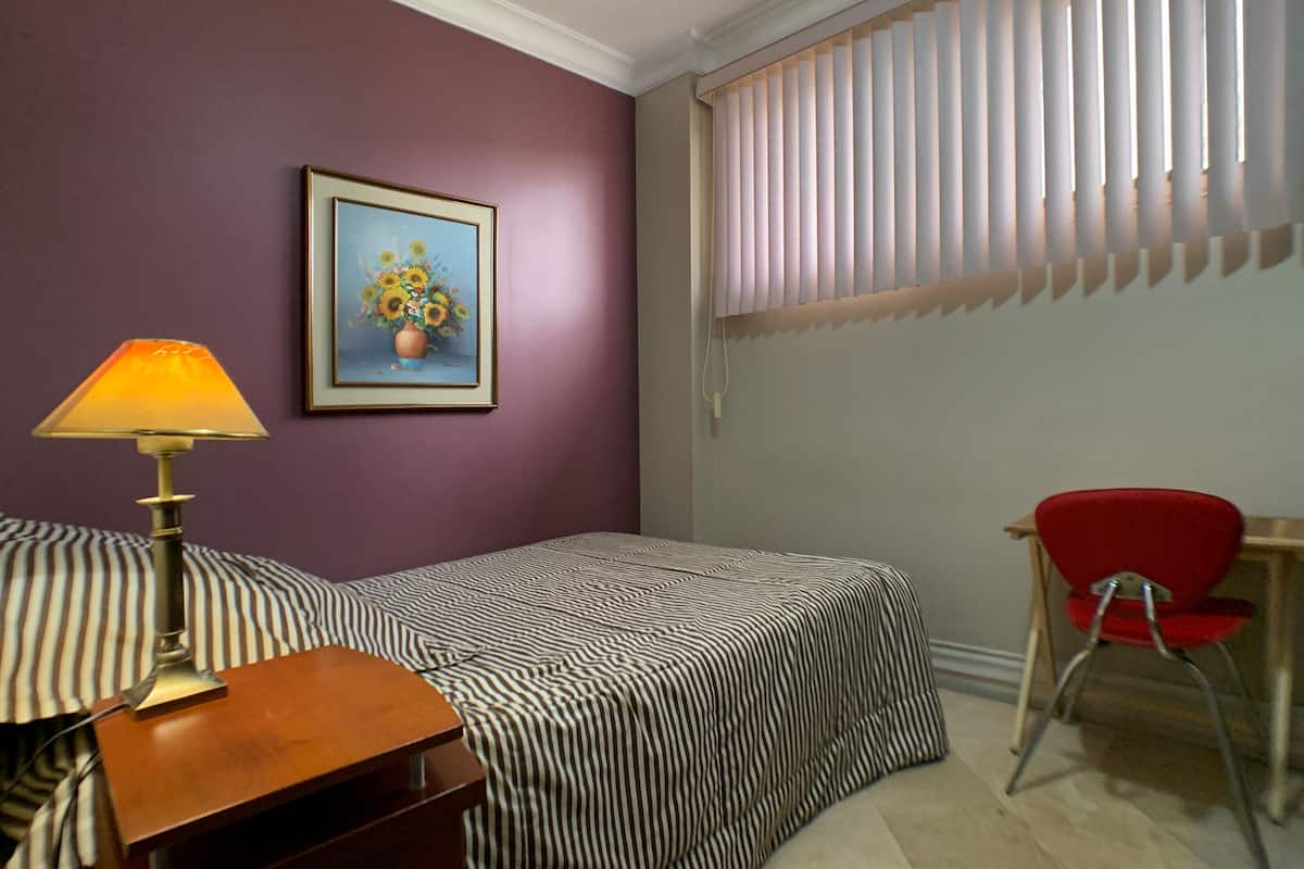 Business Double Room Single Use, Private Bathroom | Premium bedding, down duvets, pillow-top beds, desk