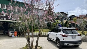 Een witte SUV geparkeerd voor een gebouw met een groen dak en een bord waarop 'CARS' staat.