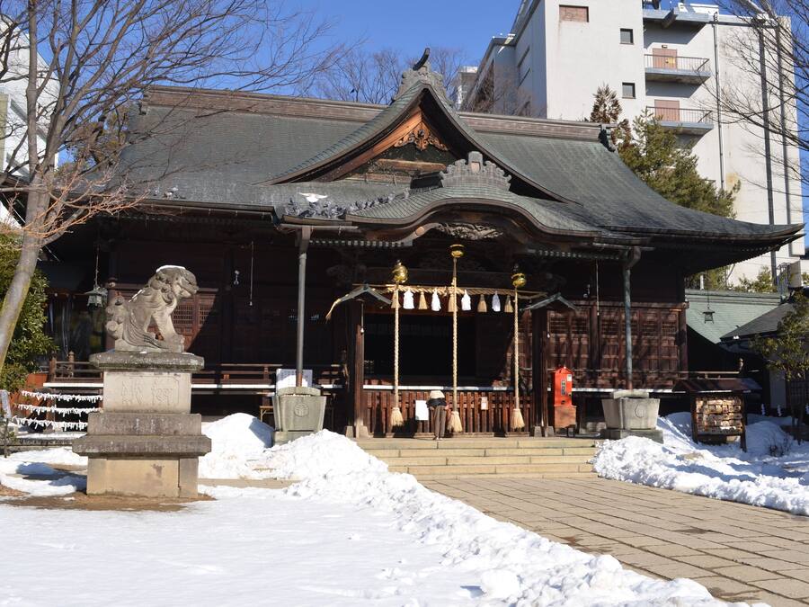 Vista da propriedade