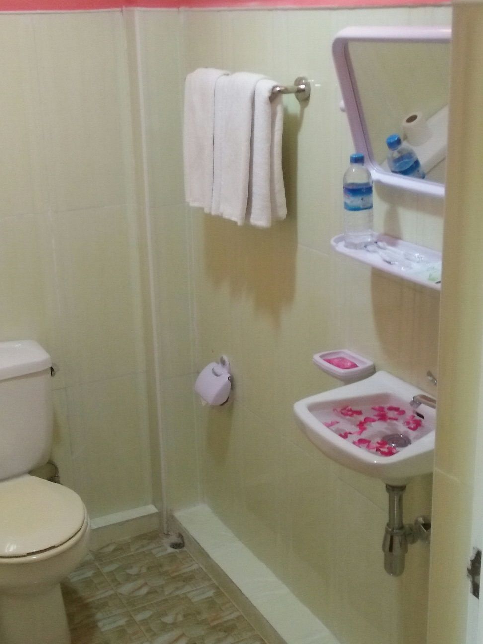 A bathroom with a toilet, a sink with rose petals, a towel rack, and a mirror.