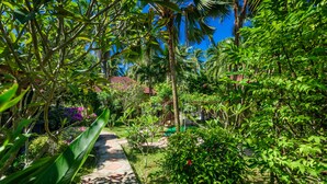 A lush garden pathway with palm trees and tropical plants. - Samui Green Space Resort (Koh Samui)