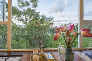 Vista desde la habitación