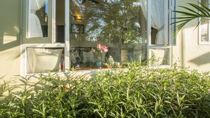 Una ventana con cortinas, una planta en primer plano y vista de árboles al exterior.